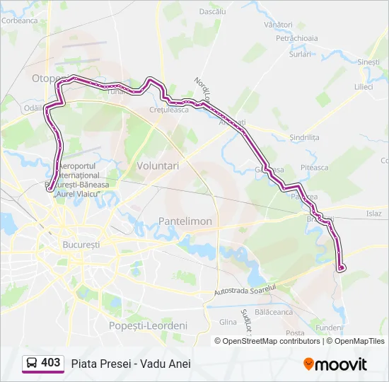 403 Bus Line Map
