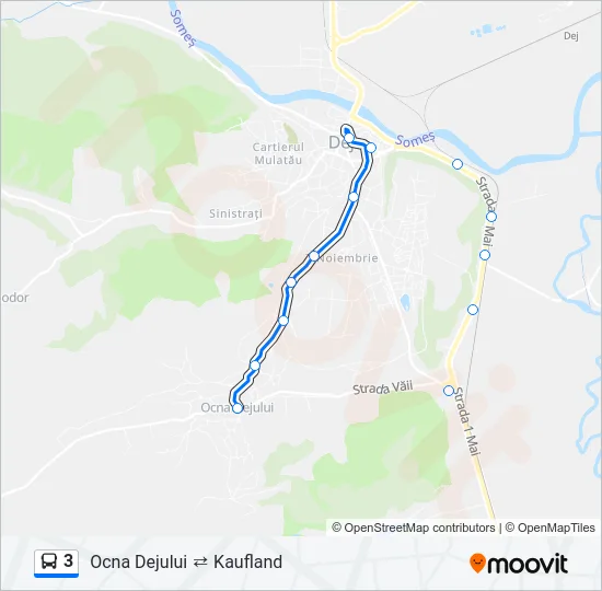 3 Bus Line Map