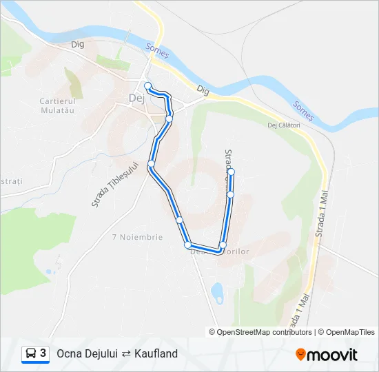 3 Bus Line Map
