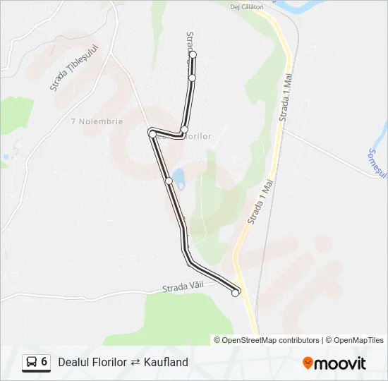 6 Bus Line Map