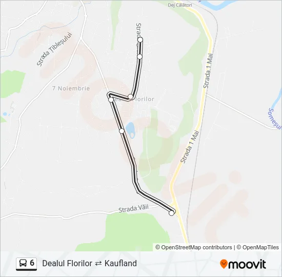 6 Bus Line Map