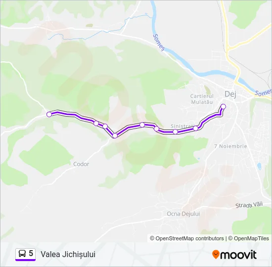 5 Bus Line Map