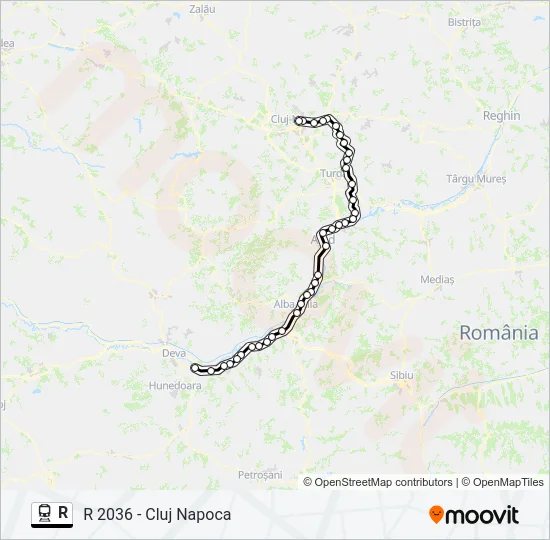 R Train Line Map