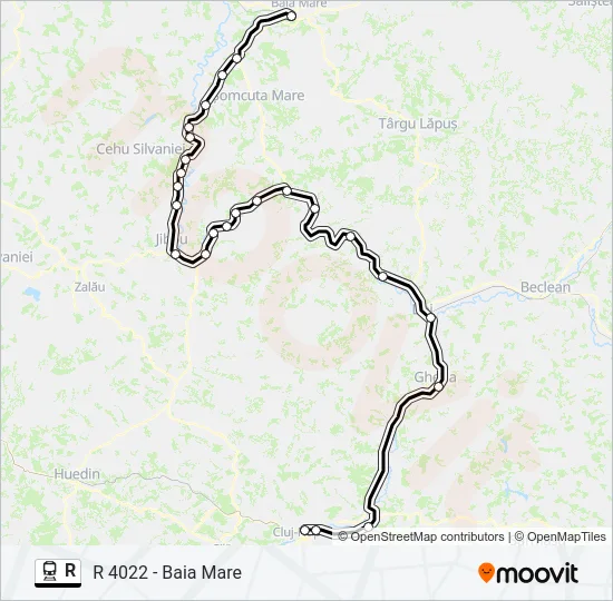 R Train Line Map