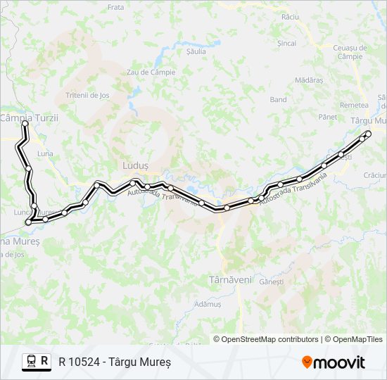 R Train Line Map