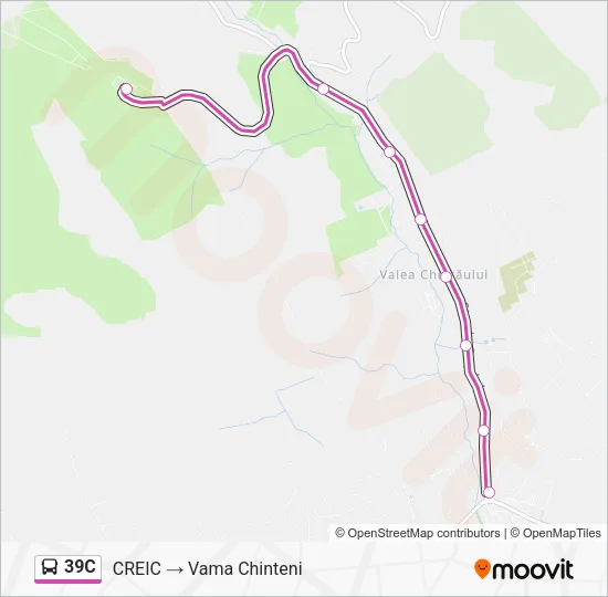 39C Bus Line Map