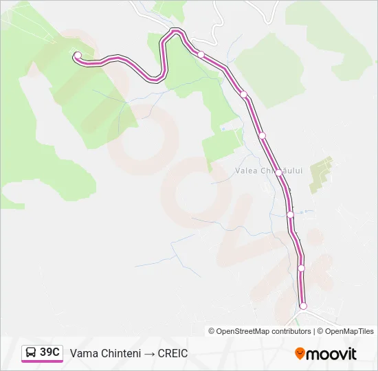 39C Bus Line Map