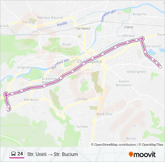 24 Bus Line Map