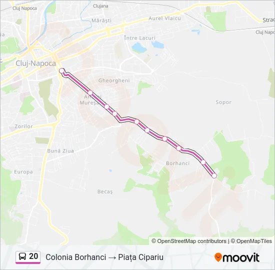 20 Bus Line Map
