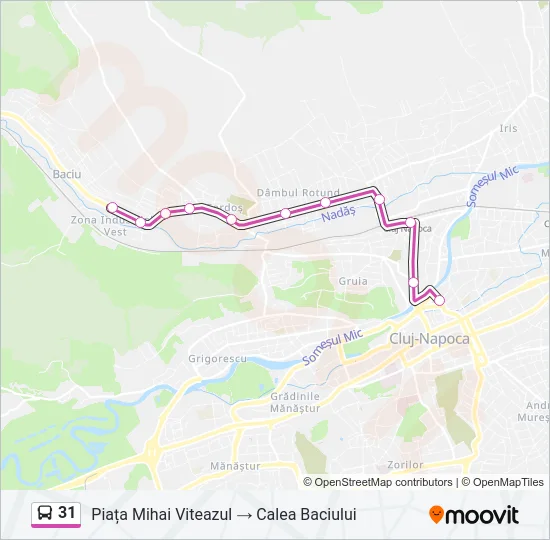 31 Bus Line Map