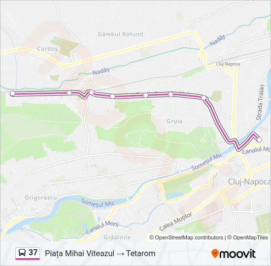 37 Bus Line Map