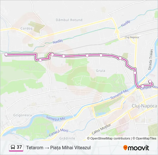 37 Bus Line Map