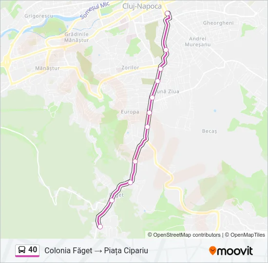 40 Bus Line Map