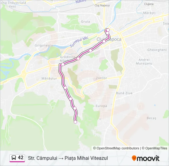 42 Bus Line Map
