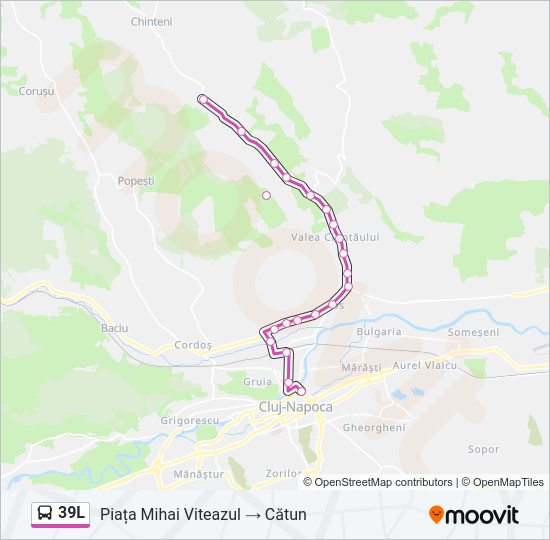 39L Bus Line Map