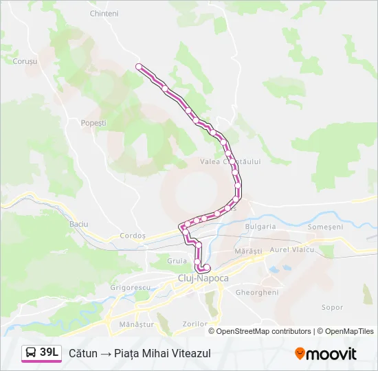 39L Bus Line Map