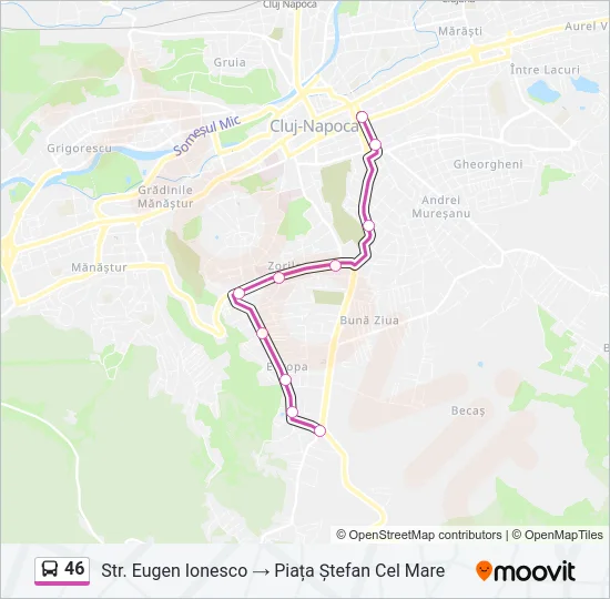 46 Bus Line Map