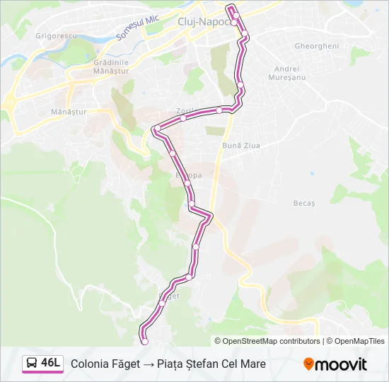 46L Bus Line Map