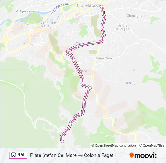 46L Bus Line Map