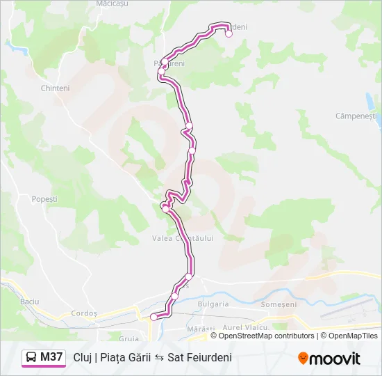 Hartă linie autobuz M37