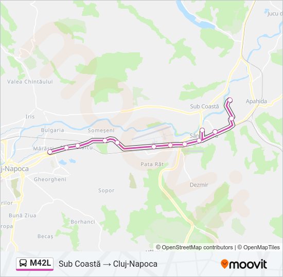 M42L Bus Line Map