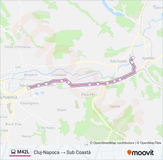 M42L Bus Line Map
