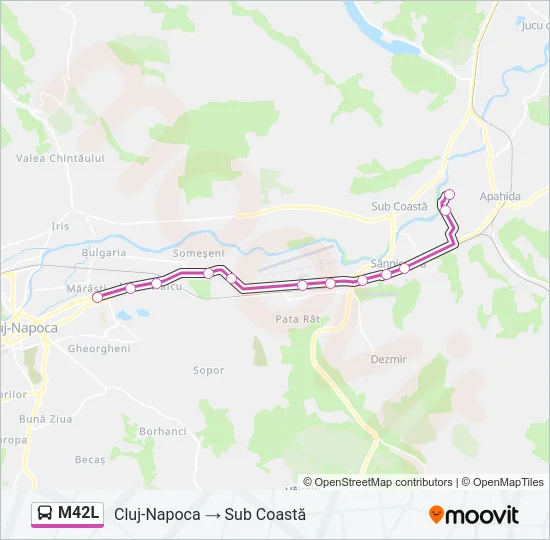M42L Bus Line Map