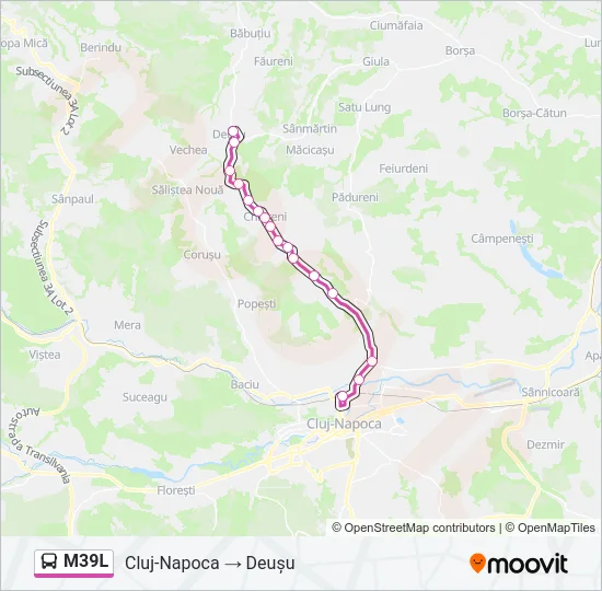 M39L Bus Line Map