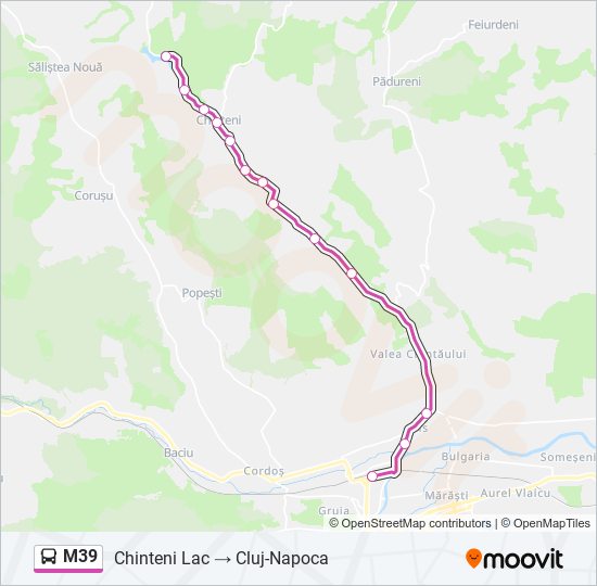 M39 bus Line Map