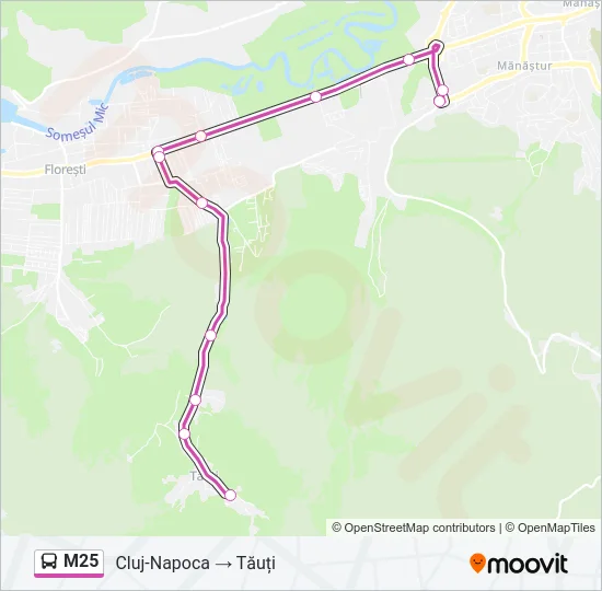 M25 Bus Line Map