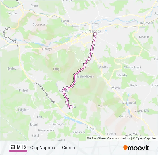 M16 Bus Line Map
