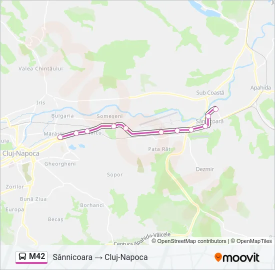 M42 Bus Line Map
