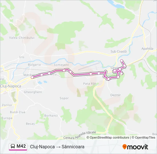 M42 Bus Line Map