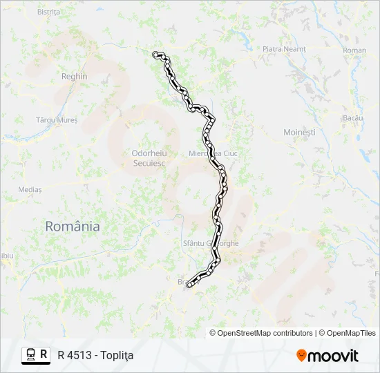 R Train Line Map