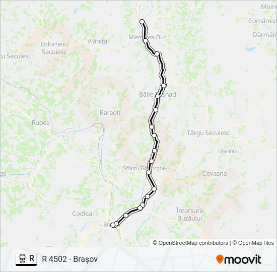 R Train Line Map