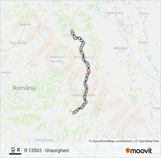 R Train Line Map