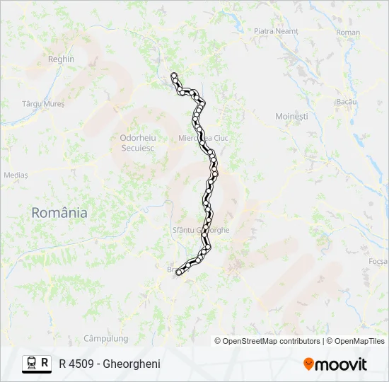 R Train Line Map