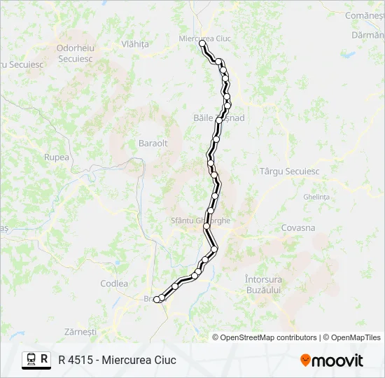 R Train Line Map