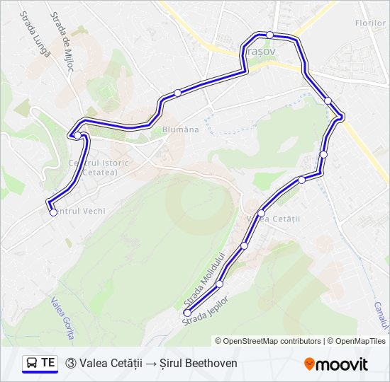 TE bus Line Map