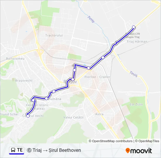 TE Bus Line Map