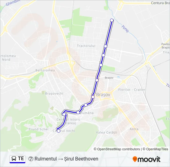 TE Bus Line Map