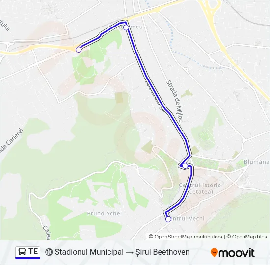 TE Bus Line Map
