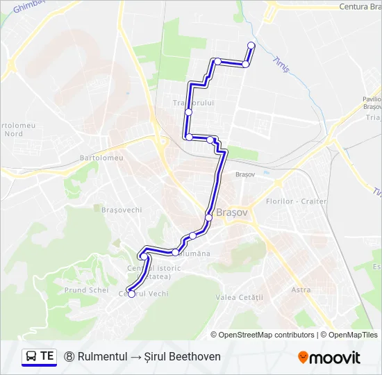TE Bus Line Map