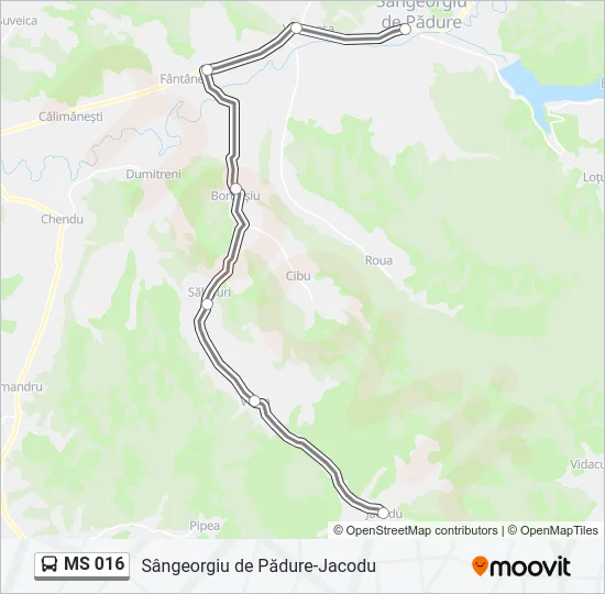 MS 016 Bus Line Map