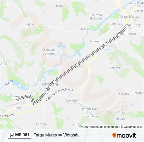 MS 081 Bus Line Map