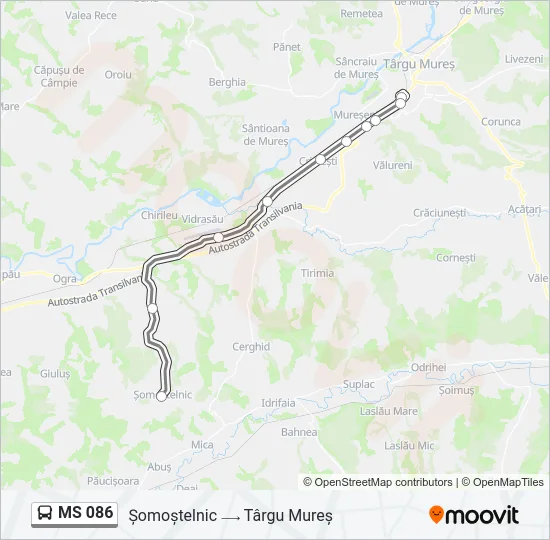 MS 086 Bus Line Map