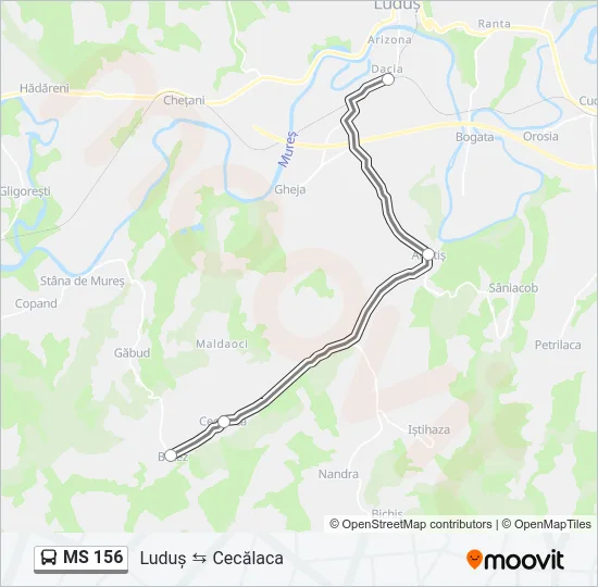 MS 156 Bus Line Map