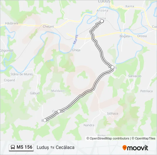 MS 156 Bus Line Map
