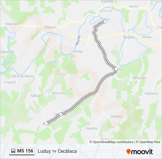 MS 156 bus Line Map