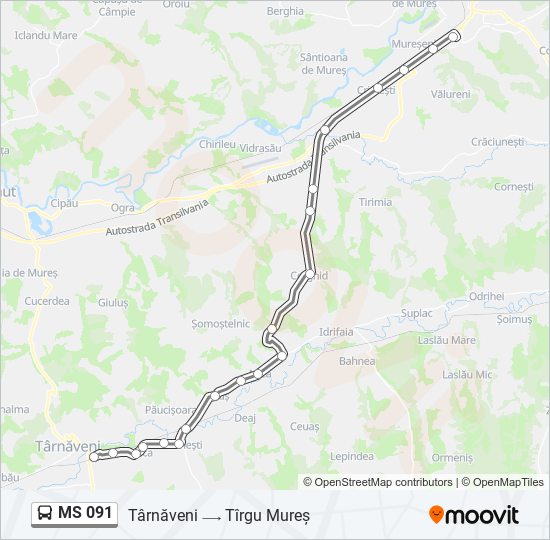 MS 091 bus Line Map